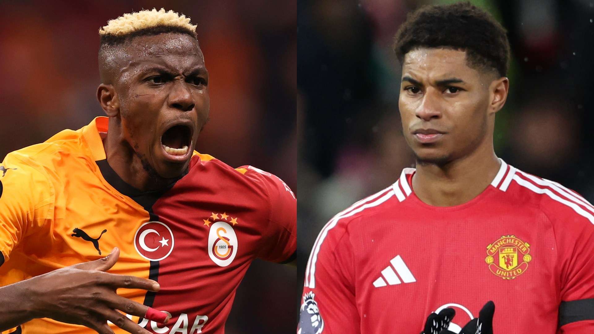 今年的主会 今年的主会